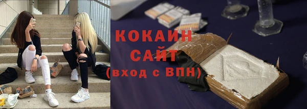 крисы Магас