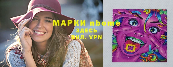 крисы Магас