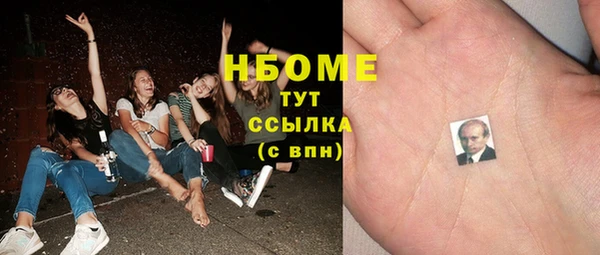 крисы Магас