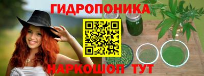 индика Берёзовский