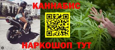 индика Беслан