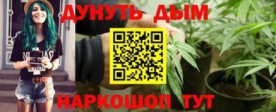 Альфа ПВП Бийск