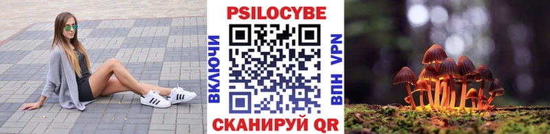 дарк нет телеграм  Темрюк  Псилоцибиновые грибы ЛСД 