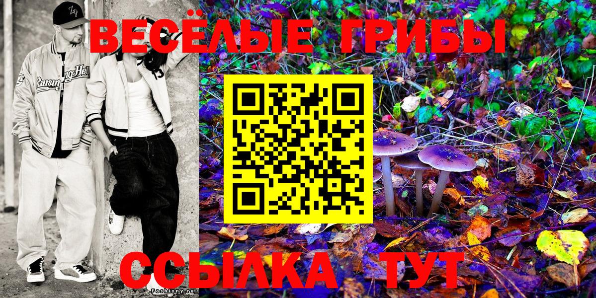 Псилоцибиновые грибы Psilocybe Темрюк